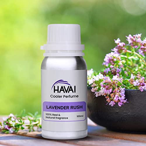 Cool discount lavender perfume